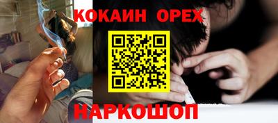 дмт Будённовск