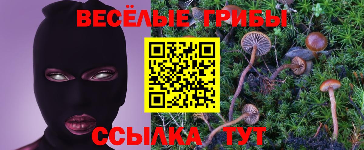 Галлюциногенные грибы Magic Shrooms Морозовск