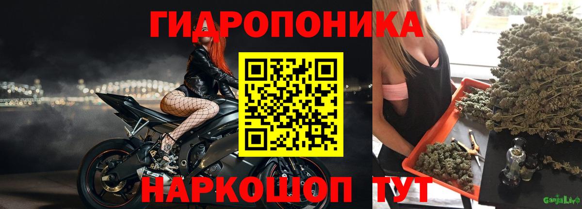 Бошки Шишки сатива Морозовск